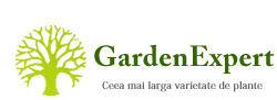 garden expert